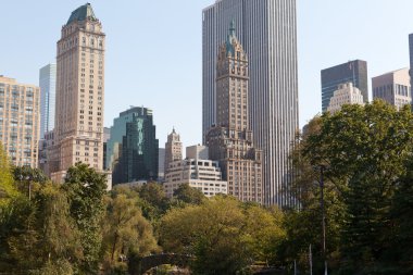 Central park ve manhattan skyline