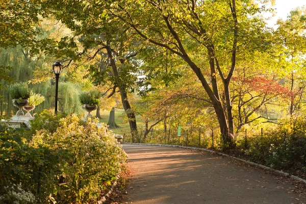 Central park new York'ta sonbahar günü — Stok fotoğraf