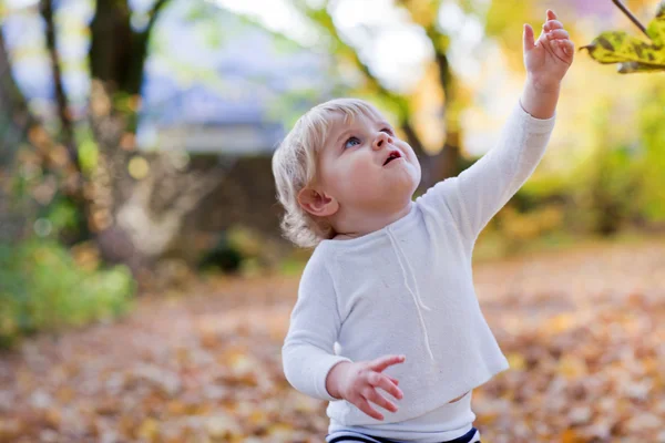 Petit garçon tout-petit dans le parc d'automne — Photo