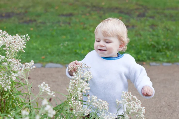 Little cute toddler boy with blond hairs — Stock Photo, Image