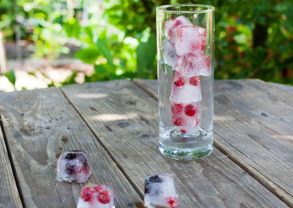 Isbitar med blåbär och röda vinbär — Stockfoto