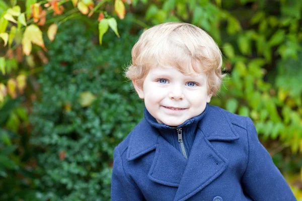 Portrait of little boy on autumn day — Stock Photo, Image