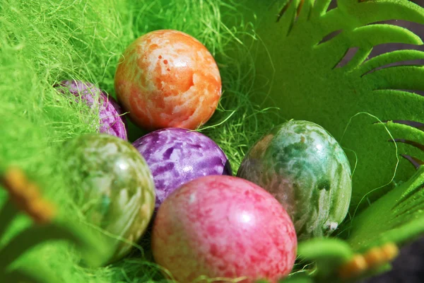 Œuf de Pâques coloré peint dans un panier vert — Photo