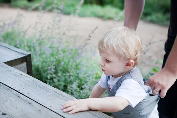 나무 계단에서 크롤 링 하는 아름 다운 유아 소년 — 스톡 사진