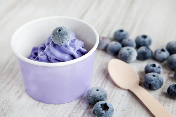 Frozen creamy ice yoghurt with whole blueberries — Stock Photo, Image