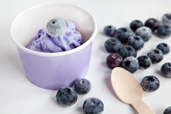 Gefrorenes cremiges Eisjoghurt mit ganzen Blaubeeren — Stockfoto