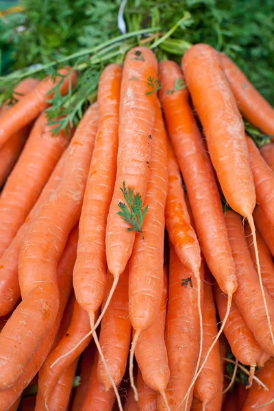 Čerstvé zdravé bio mrkev na zemědělce trhu — Stock fotografie