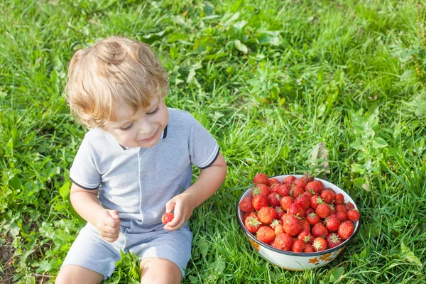 Adorable toddler with bowl strawberries on organic farm — Stock Photo, Image