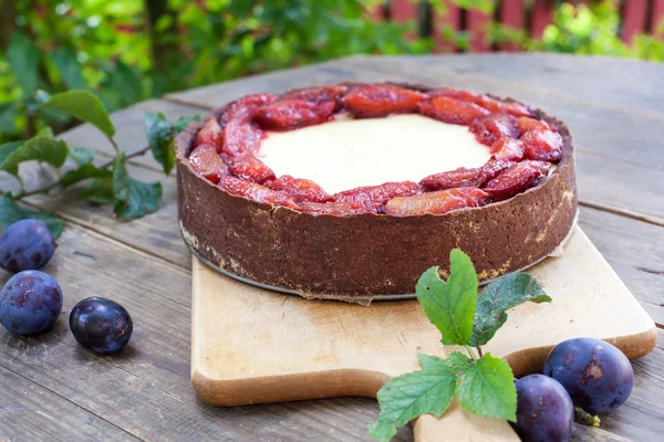 Vers gebakken cheesecake met pruimen — Stockfoto