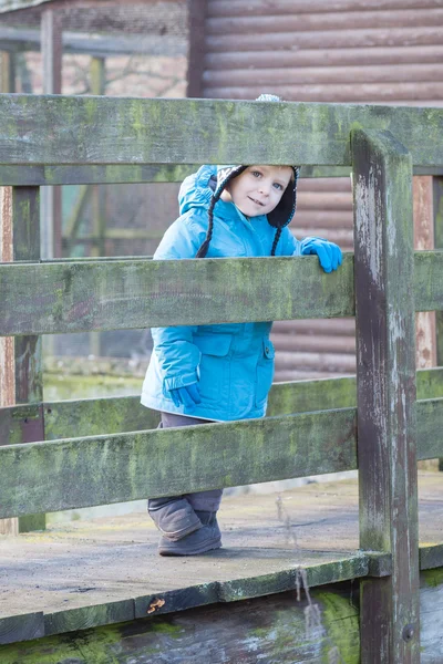 Cute toddler boy walking on wooden bridge — Stock Photo, Image