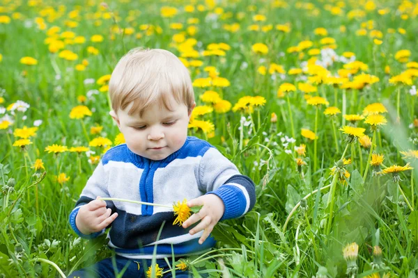 Sweet baby boy in yellow flowers field summer — Stock Photo, Image