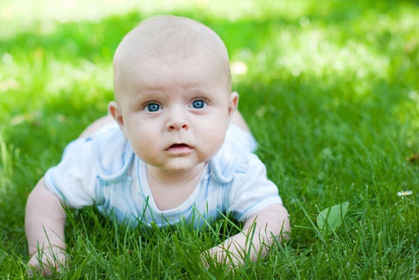 Adorable baby boy on green grass in summer — Stock Photo, Image