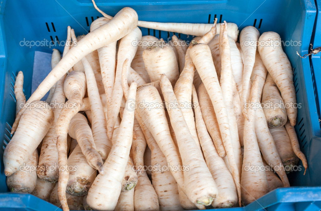Fresh healthy bio white radishes root