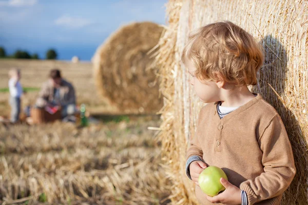 Adorable toddler with apple on golden field — Stock Photo, Image