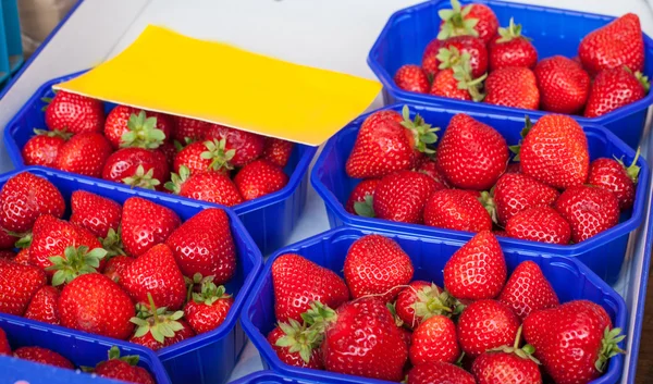 Verse gezonde bio aardbeien — Stockfoto