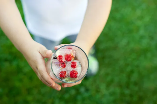 Glass 握着孩子的莓果冰多维数据集 — 图库照片