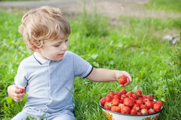 Niño pequeño dos años en la granja de fresas — Foto de Stock