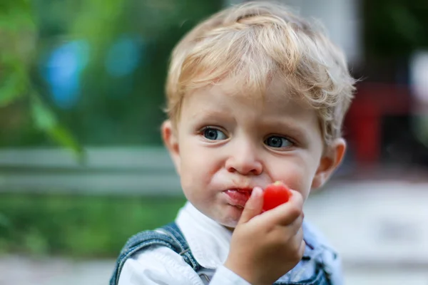 토마토를 먹는 유아 소년 — 스톡 사진
