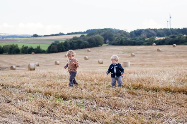 Two little toddler boys playing on straw field — Stock Photo, Image