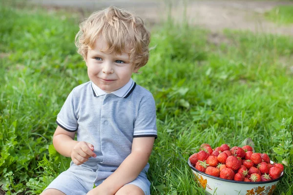 Adorable toddler with bowl strawberries on organic farm — Stock Photo, Image