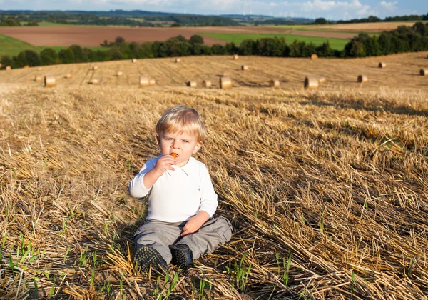 Little boy eating German sausage on goden hay field — Stock Photo, Image