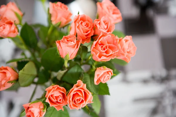 Bukiet róż różowy — Zdjęcie stockowe