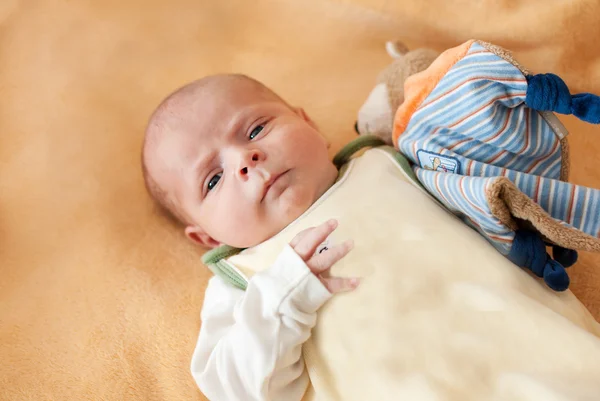 Portrait of cute baby boy with blue eyes — Stock Photo, Image