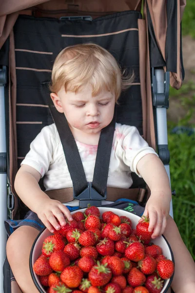 Adorable toddler with bowl strawberries on organic farm — Stock Photo, Image