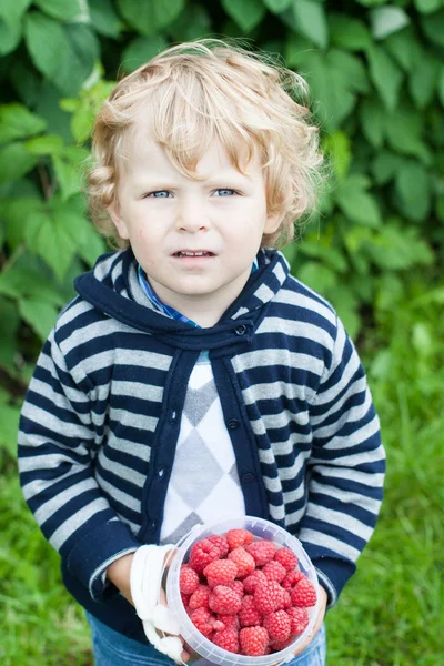 Little toddler with raspberry bucket — Stock Photo, Image