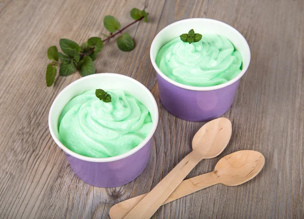 Frozen creamy ice yoghurt with fresh peppermint — Stock Photo, Image