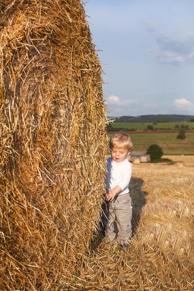 Little boy on goden hay field — Stock Photo, Image