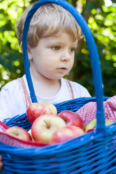 Petit garçon tout-petit tenant un grand panier avec des pommes fraîches — Photo