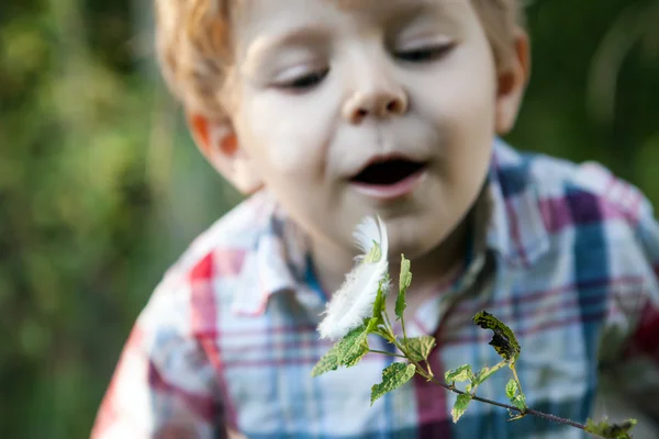 Adorable niño jugando en el bosque de verano —  Fotos de Stock