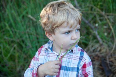 ormanda oynarken tatlı yürümeye başlayan çocuk