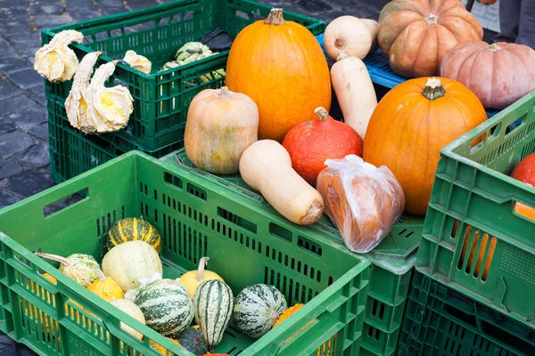 Calabaza fresca y saludable en el mercado agrícola alemán —  Fotos de Stock