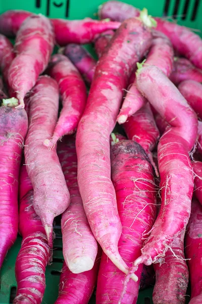 Fresh healthy bio radish on farmer market — Stock Photo, Image