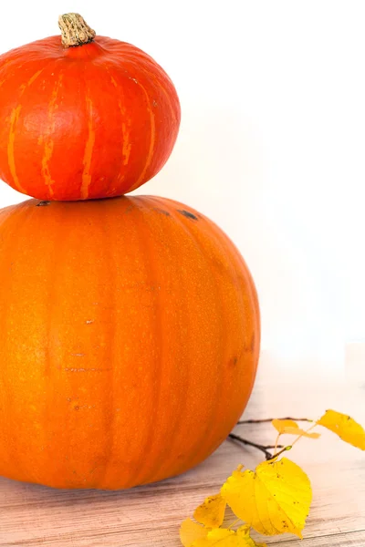 Big yellow pumpkin decorated for Halloween — Stock Photo, Image