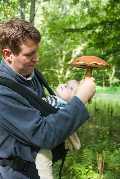 Jovem pai carregando filho na funda na floresta de verão — Fotografia de Stock