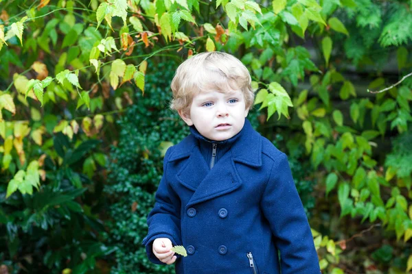 Pequeño niño en el parque de otoño — Foto de Stock