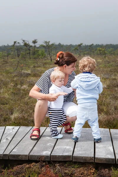 Young mother and two little boys in summer nature park — Stock Photo, Image