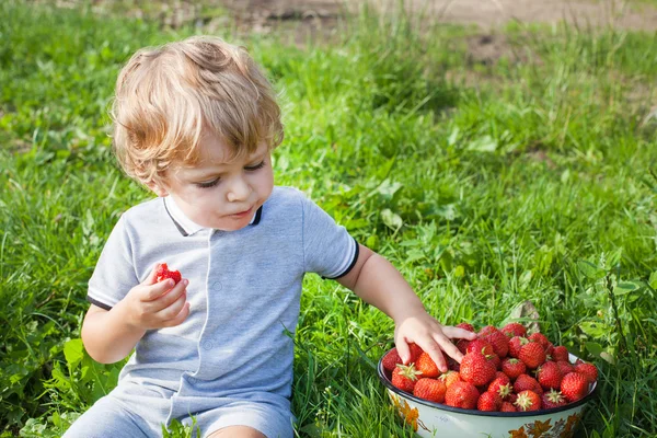 Toddler boy with bowl strawberries on organic farm — Stock Photo, Image