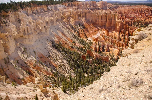 Bryce Canyon National Park, Utah, USA. — Stock Photo, Image