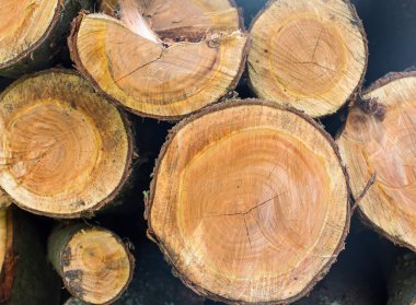 eski ahşap arka plan