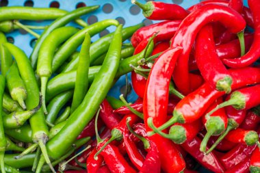 tatlı kırmızı biber ve yeşil biber