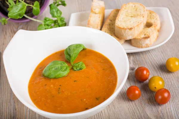 新鮮なクリーム トマト スープ — ストック写真
