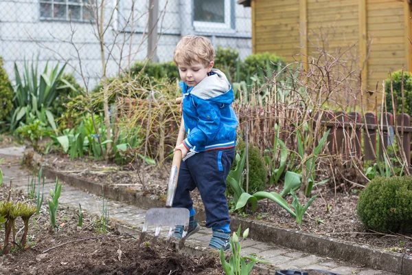 Liten pojke och hans far plantera frön i grönsakslandet — Stockfoto