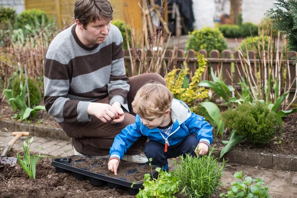 Kleine jongen en zijn vader planten zaden in moestuin — Stockfoto