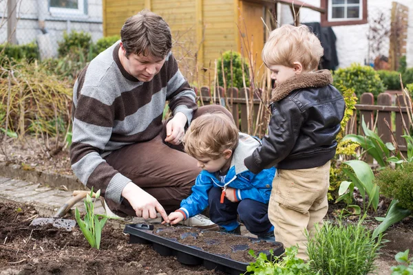 Dos niños pequeños y padre plantando en el jardín —  Fotos de Stock