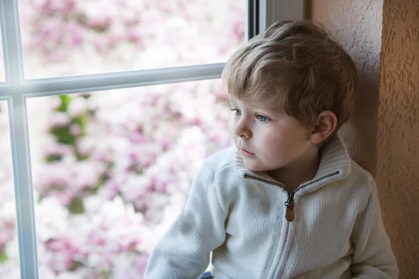 Schattig peuter jongen kijken uit het raam — Stockfoto