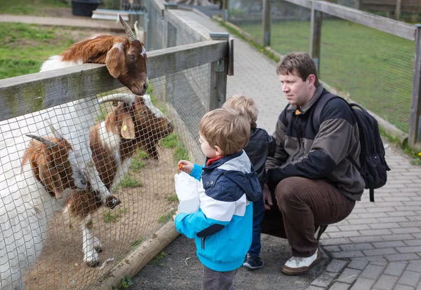Dva malé chlapce a otec krmení zvířat v zoo — Stock fotografie